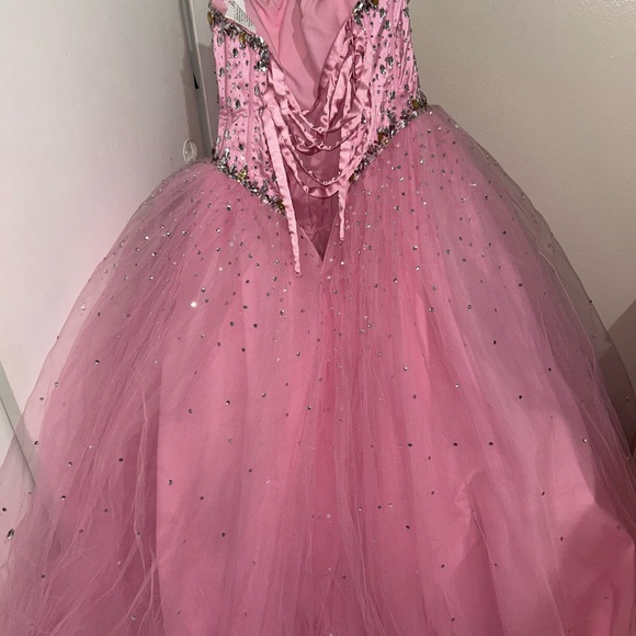 Elegant Pink Ball Gown (Quinceañera Dress) - Picture 9 of 9